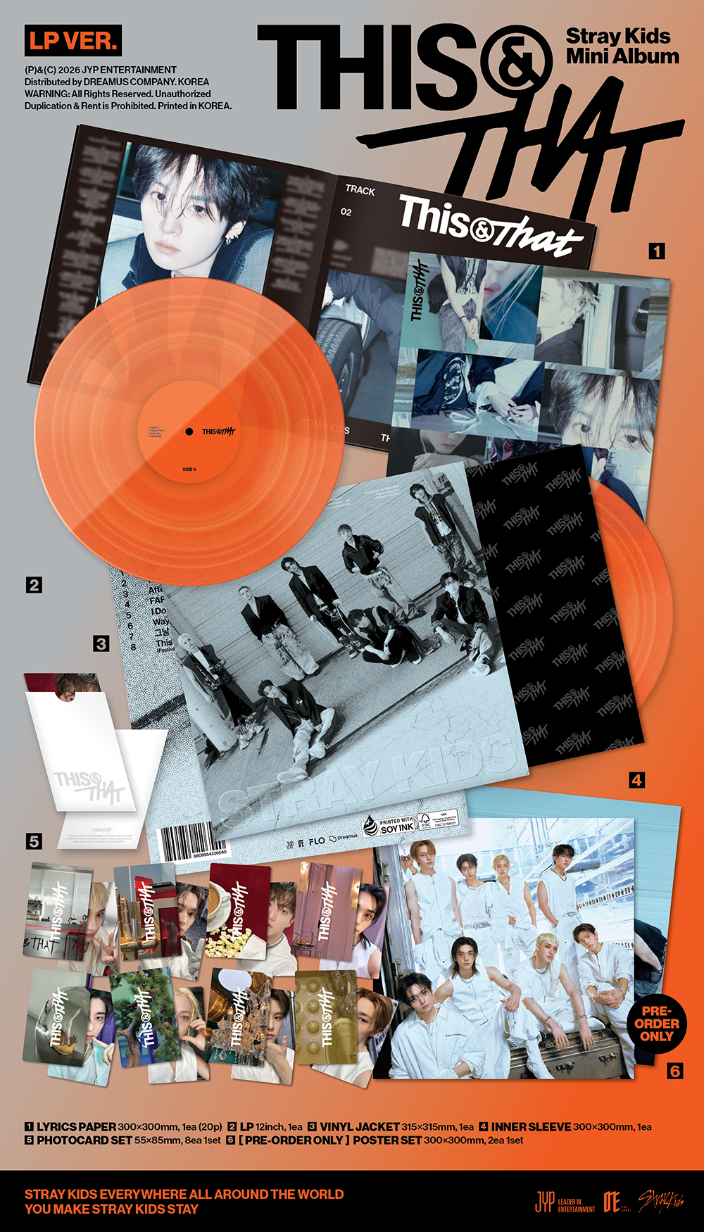 Stray Kids - THIS & THAT (LP ver.) | Musica
